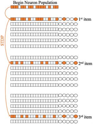 Brain Inspired Sequences Production by Spiking Neural Networks With Reward-Modulated STDP